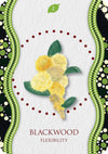 Aboriginal Healing Oracle