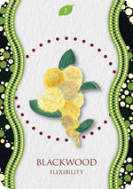 Aboriginal Healing Oracle