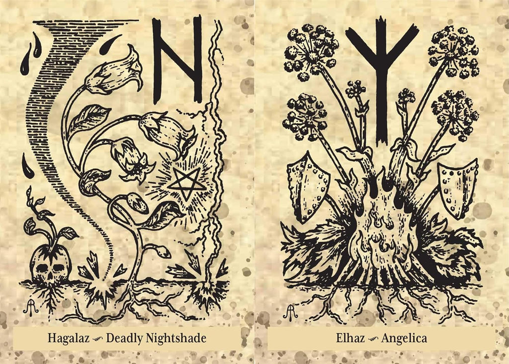 The Runes & Roots Oracle