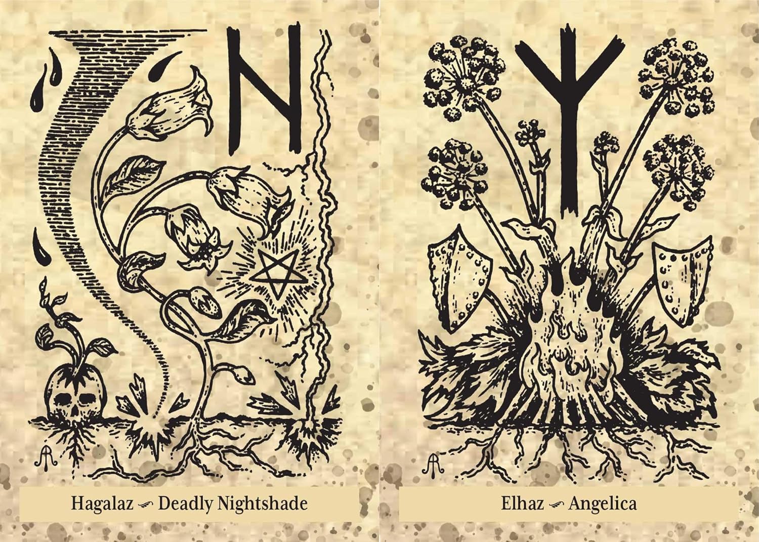 The Runes & Roots Oracle