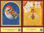 The Sacred Biodiversity Oracle