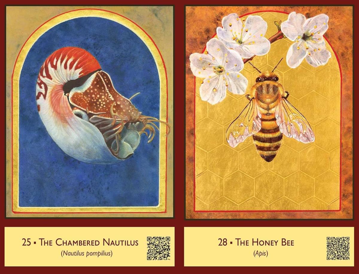 The Sacred Biodiversity Oracle
