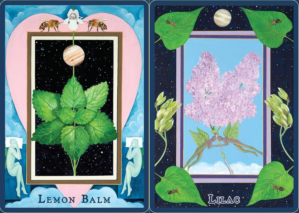 Plant Spirits Oracle
