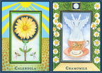 Plant Spirits Oracle