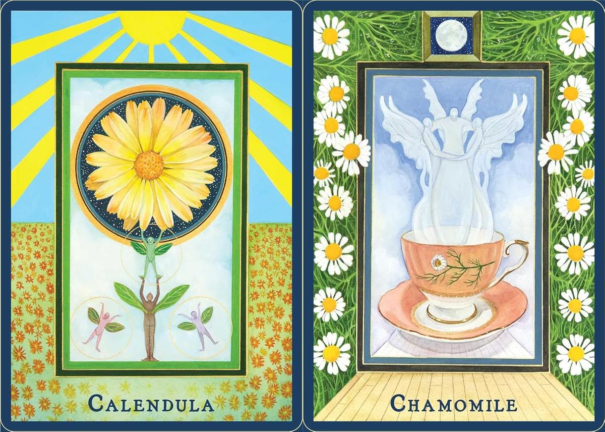 Plant Spirits Oracle