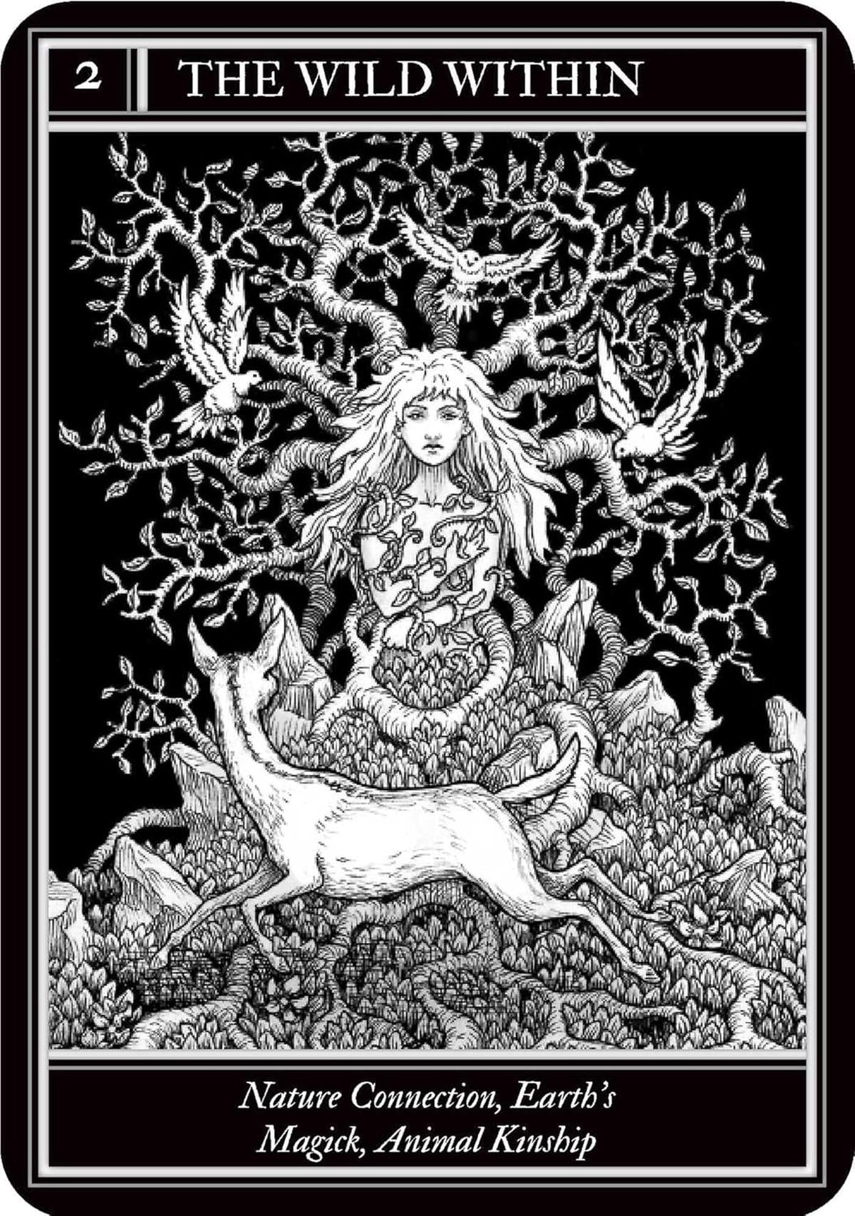Coven Oracle