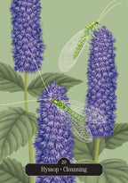 Kate Forsyth's Hedgewitch Oracle