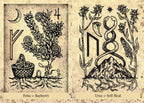 The Runes & Roots Oracle