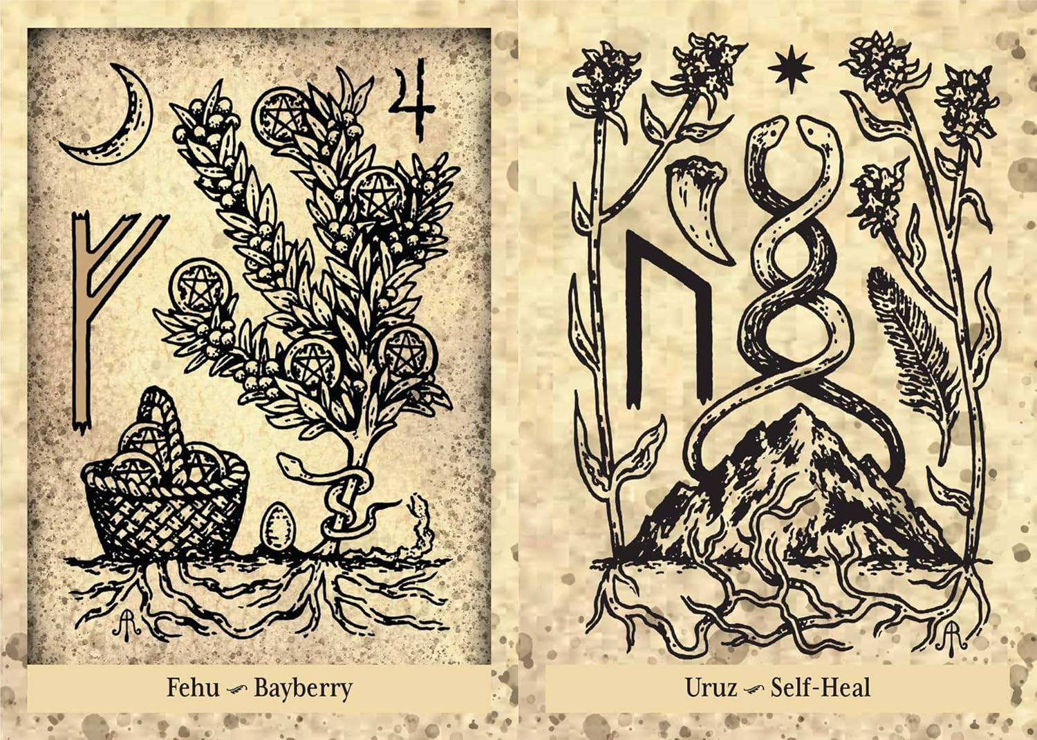 The Runes & Roots Oracle