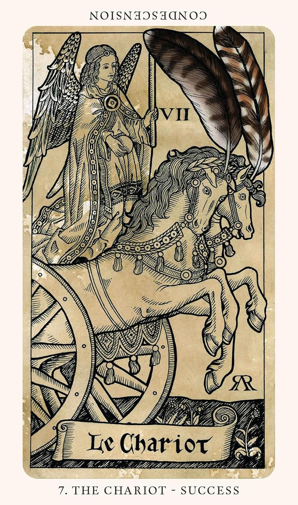 The Medieval Feathers Tarot