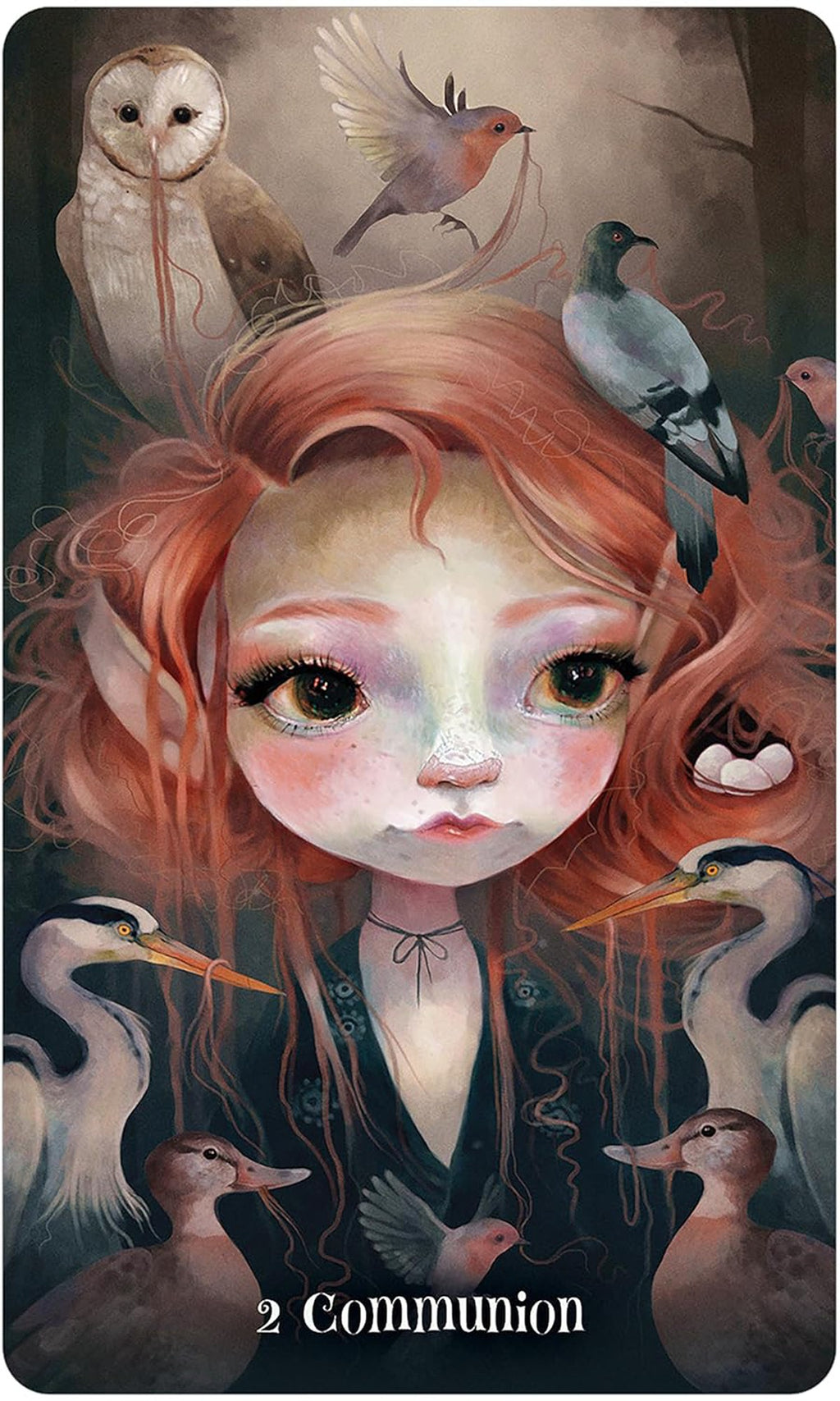 Wisdom Of The Wild Things Oracle
