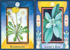 Plant Spirits Oracle
