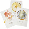 Maya Astro Cards