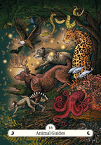 The Witch's Way Home Oracle