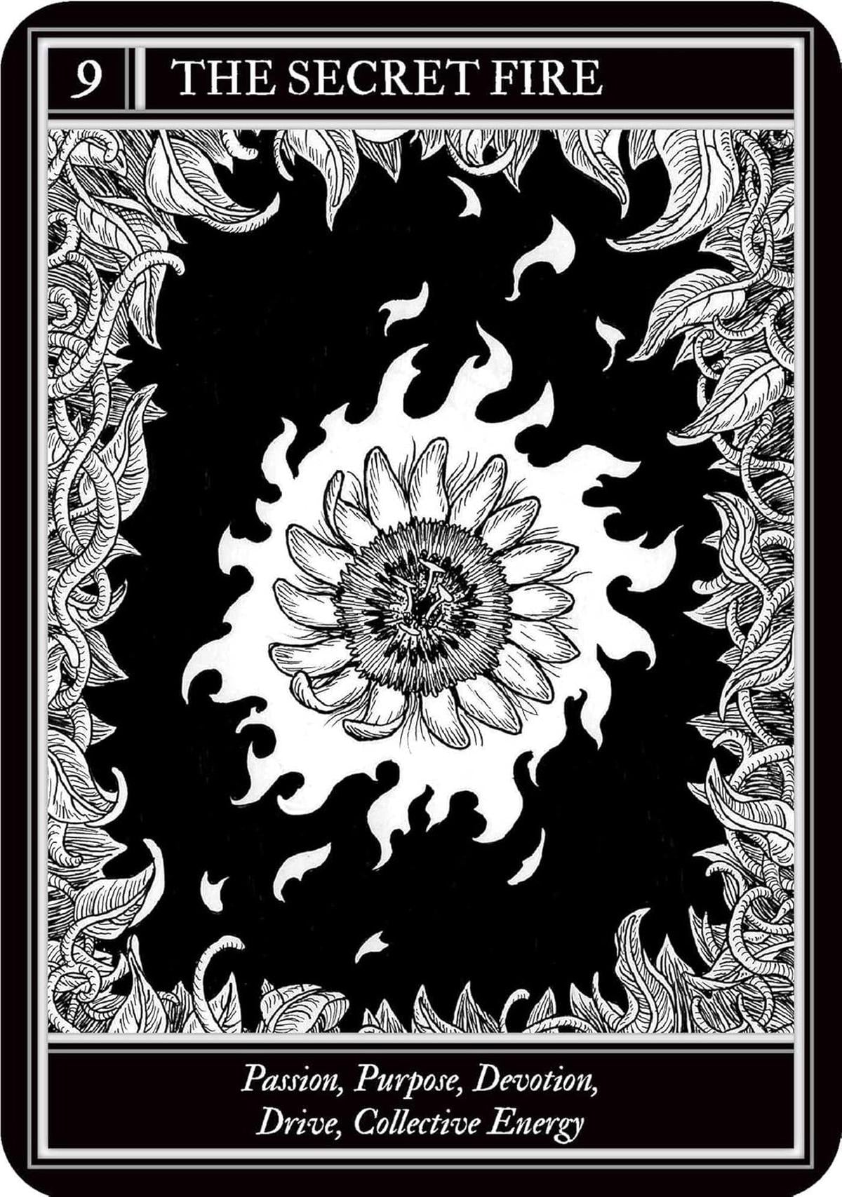 Coven Oracle