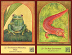 The Sacred Biodiversity Oracle