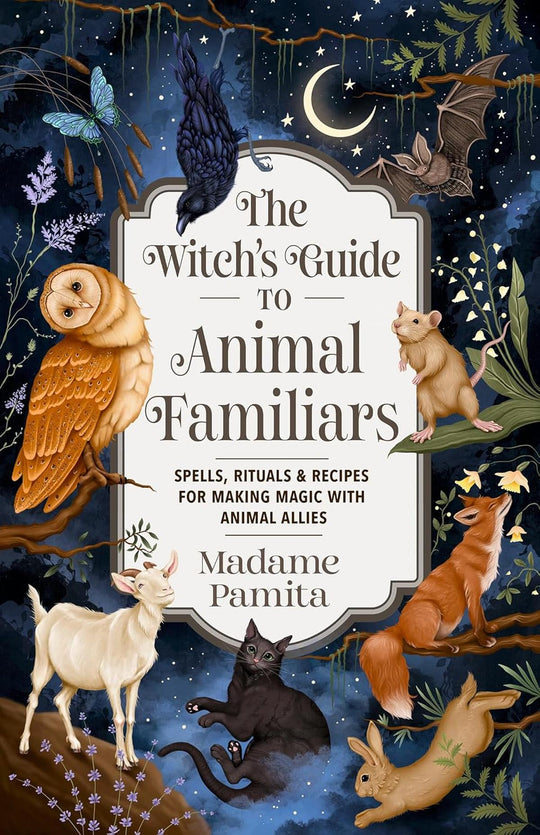 The Witch's Guide To Animal Familiars