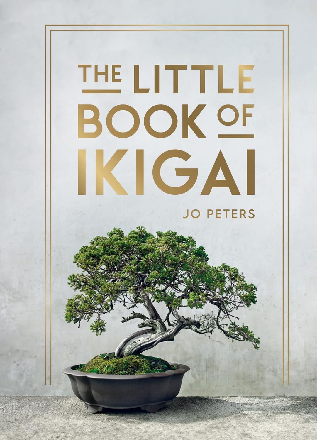 The Little Book Of Ikigai