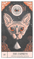 Crossed Destinies Tarot