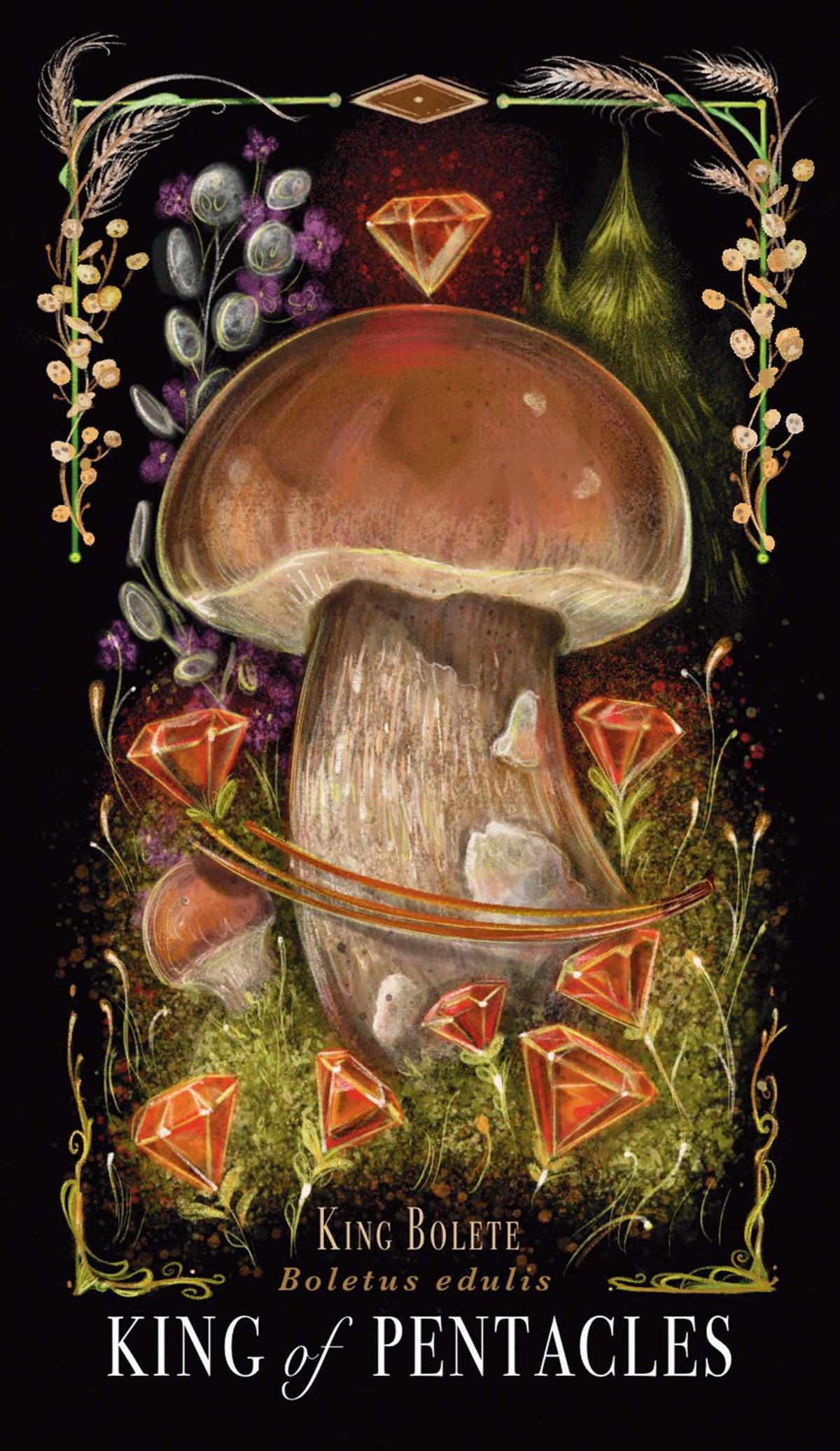 Midnight Magic: A Tarot Deck Of Mushrooms