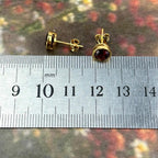 Garnet Gold Earrings