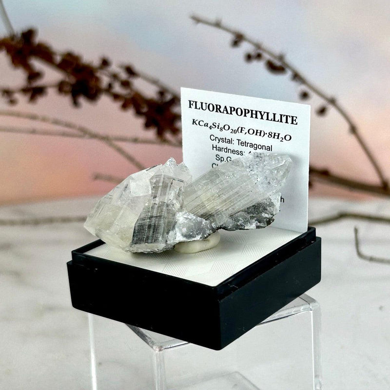 Fluorapophyllite Crystal For Sale