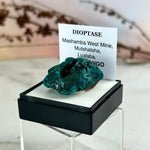 Real Dioptase Crystal 