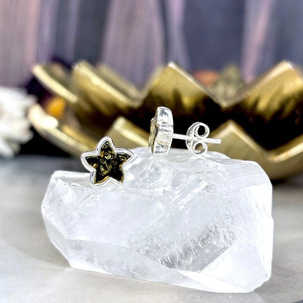 Starfish Earrings