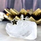 Starfish Earrings