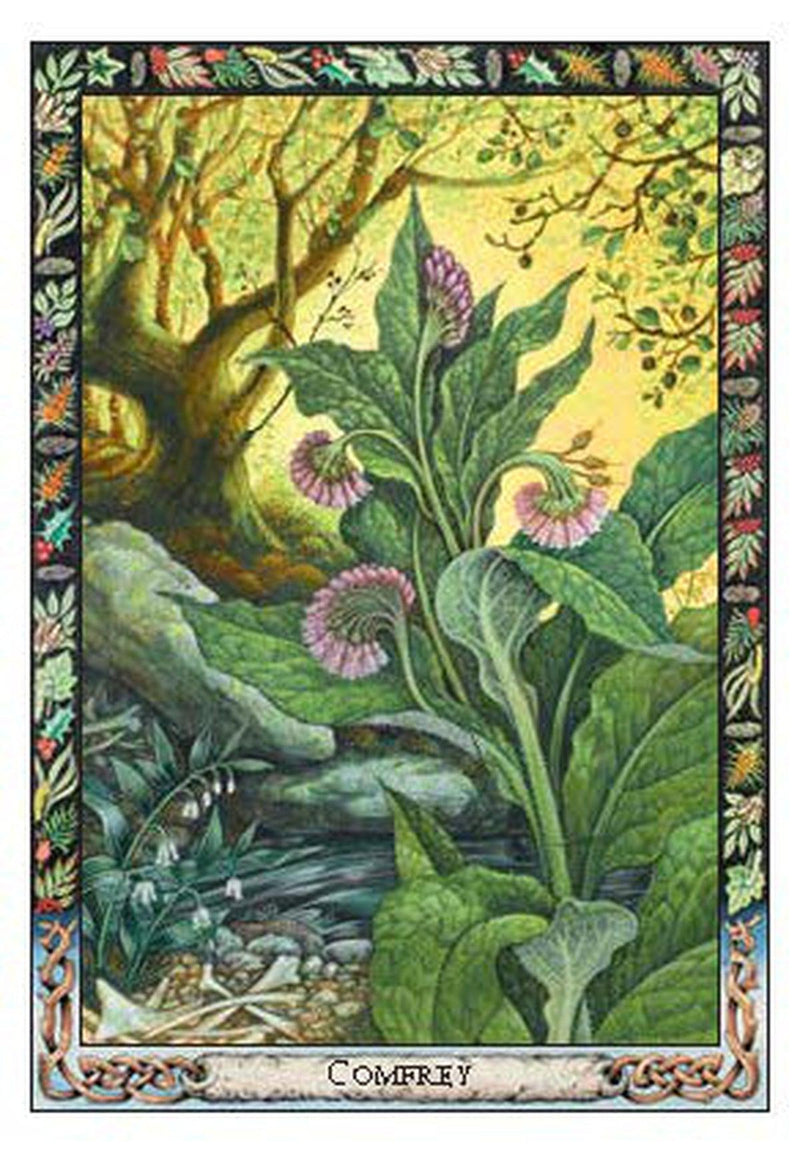 The Druid Plant Oracle