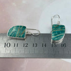 Crystal Arc Shape Earrings