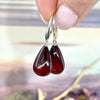 Real Red Amber Earrings