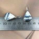 Large Dendritic Opal Earrings