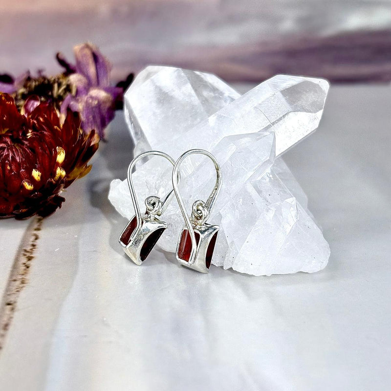 Red Gemstone Drop Earrings