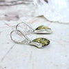Baltic Amber Silver Earrings