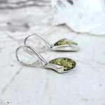 Baltic Amber Silver Earrings