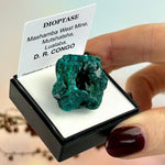 Dioptase Crystal Specimen