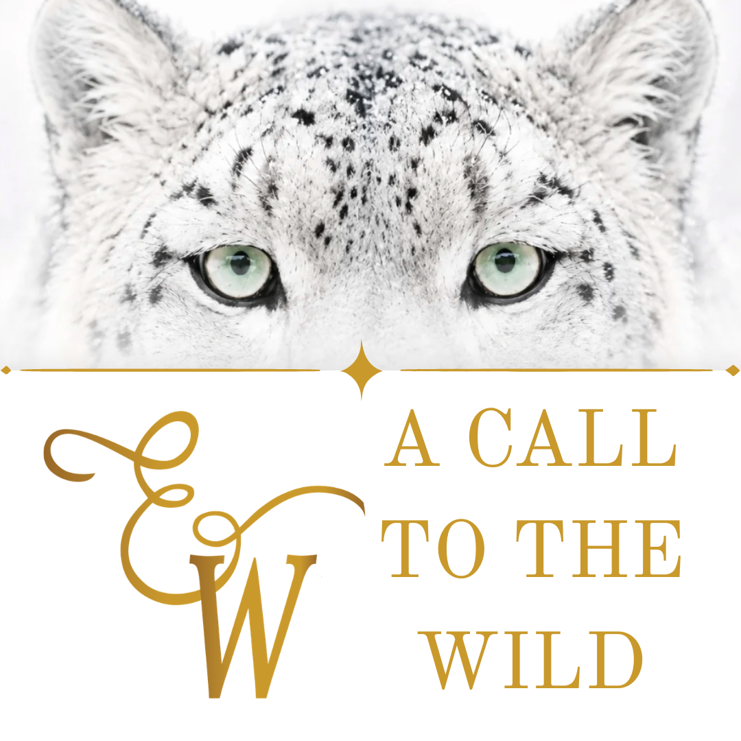 A Call To The Wild