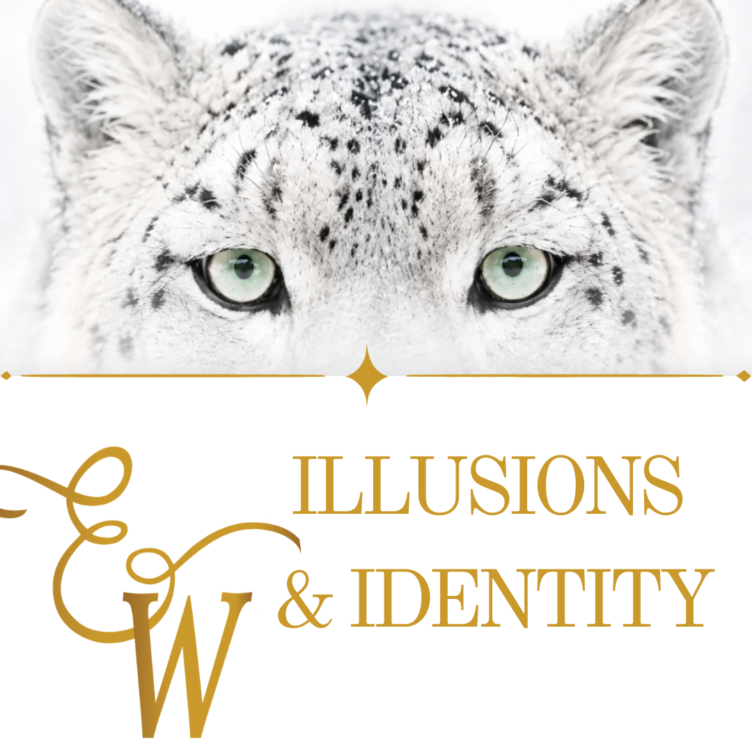 Illusions & Identity