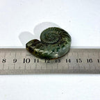 Crystal Shell Carving
