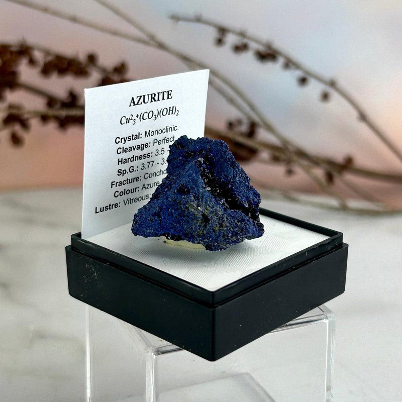 Azurite Crystal Collectors Piece