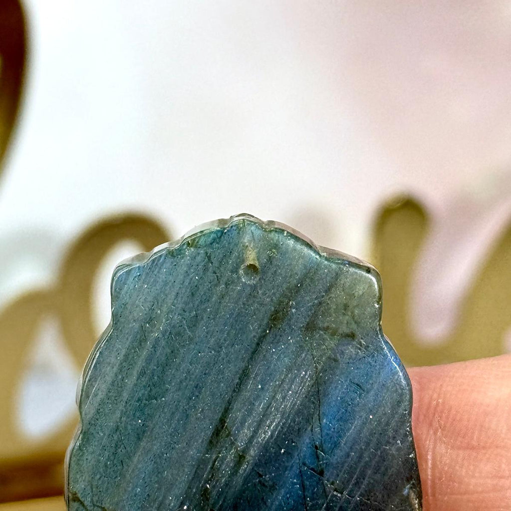 Crystal Animal Symbol