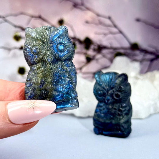 Labradorite Hand Carved Owl Figures/Pendants