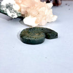 Labradorite Crystal Shell