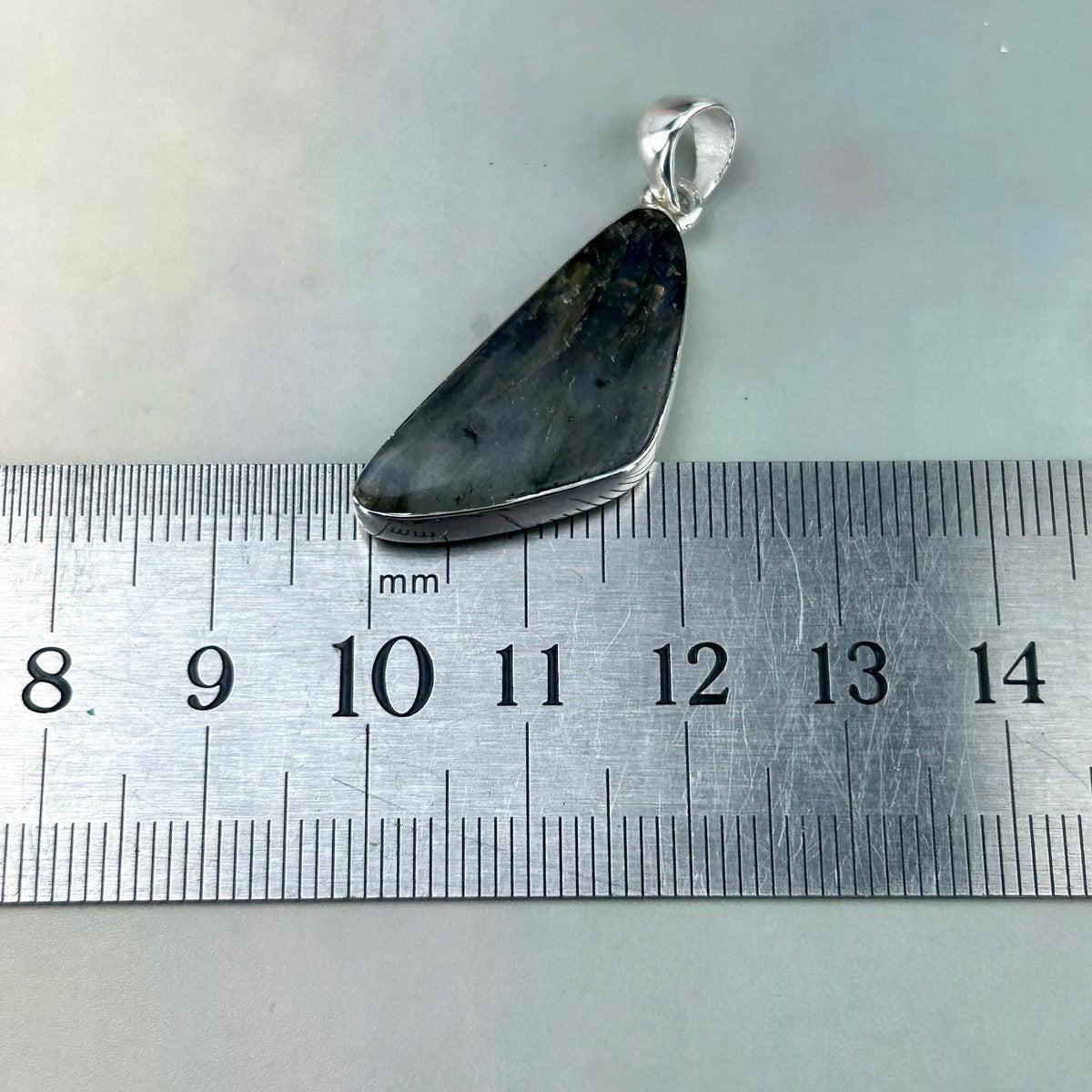 Butterfly Wing Charm