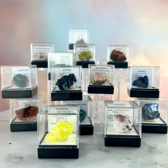 Assorted Crystal Collector Specimens In Display Case