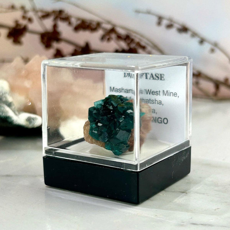 Dioptase Raw Crystal 