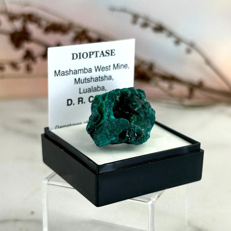 Authentic Dioptase Crystal