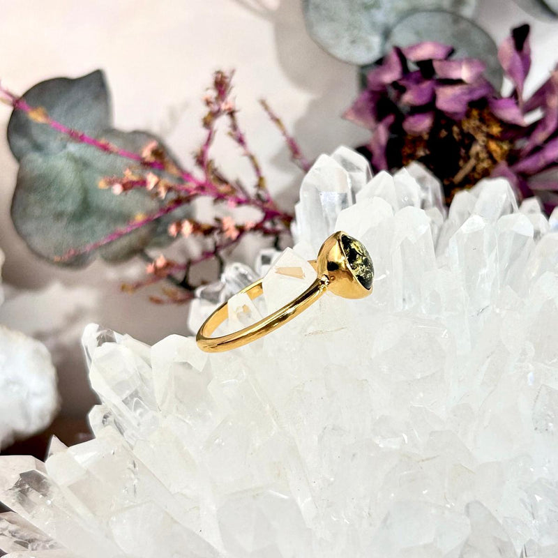 Baltic Assorted Amber Gold Plated Rings