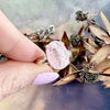 Morganite Sterling Silver Ring